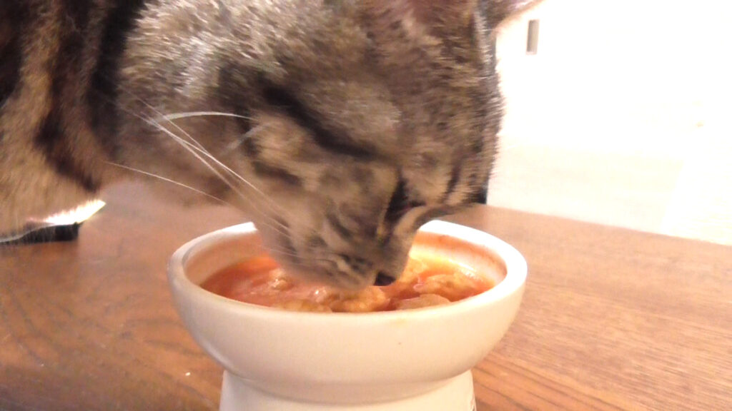 鶏団子を入れたミネストローネ風スープのニオイを確かめる猫